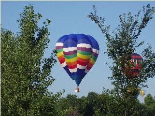 ClipAway Balloon between the trees